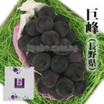 Kyoho Grapes | Premium Grade - Akashu (Seedless) | Nagano Prefecture