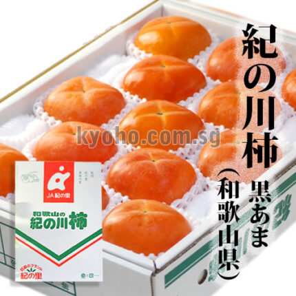 Kinokawa Persimmon Kuroama-Black (Seedless) | Wakayama Prefecture | 5L Size