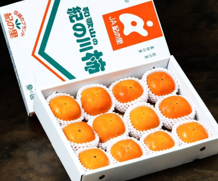 Kinokawa Persimmon Kuroama-Black (Seedless) | Wakayama Prefecture | 4L Size