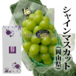 Shine Muscat Grapes (Hareo-Variety) | Okayama Prefecture