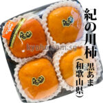 Kinokawa Persimmon Kuroama - Black (Seedless) | Wakayama Prefecture | 3L Size 4 Pcs