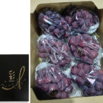 Black Shine Muscat "Fuji No Kagayaki" | Akashu Premium Grade | Okayama Prefecture | 4L Size 830g