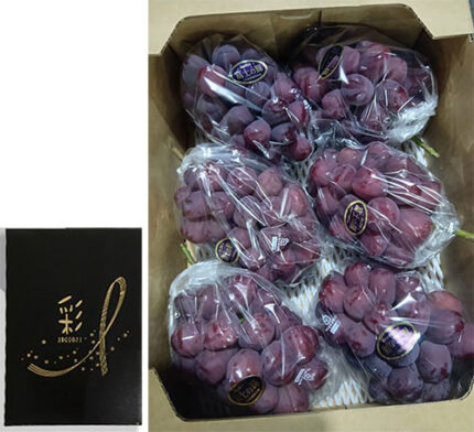 Black Shine Muscat "Fuji No Kagayaki" | Akashu Premium Grade | Okayama Prefecture | 4L Size 830g