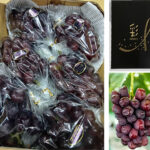 Black Shine Muscat "Fuji No Kagayaki" | Okayama Prefecture