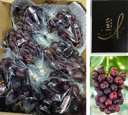 Black Shine Muscat "Fuji No Kagayaki" | Okayama Prefecture