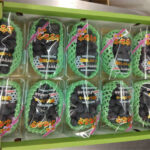 Fuefuki Premium Grade Pione Grapes | Yamanashi Prefecture