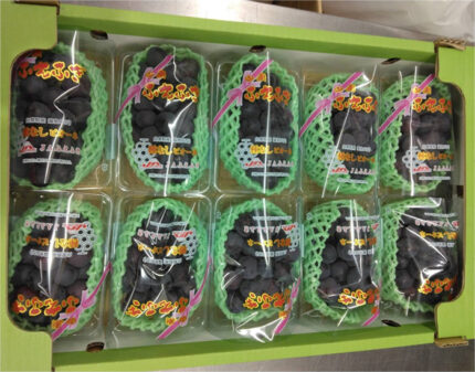 Fuefuki Premium Grade Pione Grapes | Yamanashi Prefecture