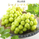 Shine Muscat Grapes (Hareo-Variety) | Okayama Prefecture