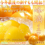 Horouman Yellow Plum | Yamagata Prefecture