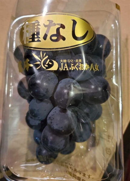 Kyoho Grapes | Fukuoka Prefecture