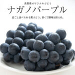 Nagano Purple Grapes | Nagano Prefecture