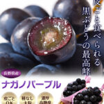 Nagano Purple Grapes | Nagano Prefecture