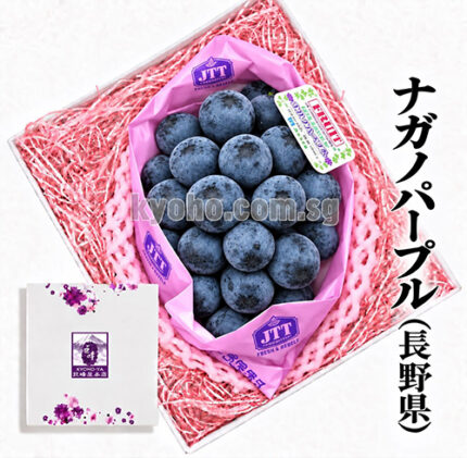 Nagano Purple Grapes | (Seedless) Shu Grade | Nagano Prefecture | 710g