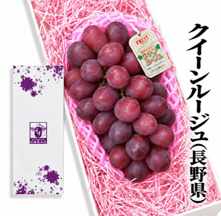 Queen Rouge Grapes | (Premium Grapes) Shu Grade | Nagano Prefecture | 830g