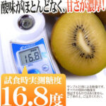 Sanuki Gold | World Biggest Kiwi Fruits | Kagawa Prefecture