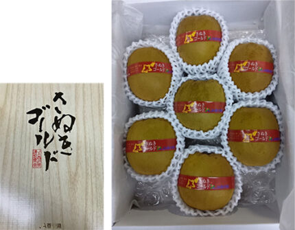 Sanuki Gold | World Biggest Kiwi Fruits | Kagawa Prefecture | 9 Pcs