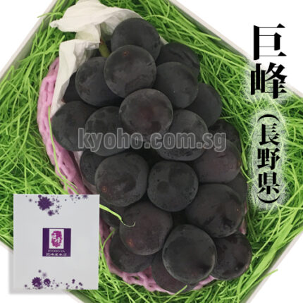 Kyoho Grapes | Premium Grade - Akashu (Seedless) | Nagano Prefecture