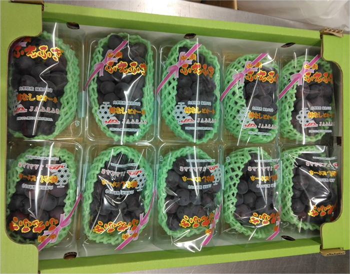 Fuefuki Premium Grade Pione Grapes | Yamanashi Prefecture
