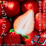 Ichigo San Strawberry | Saga Prefecture
