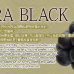Orola Black Grapes | Premium Grade (Seedless) | Okayama Prefecture