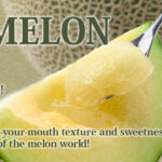 Arus Melon (High Sugar Level) | Kumamoto Prefecture