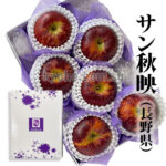 Akibae Apple | Nagano Prefecture | 2L Size