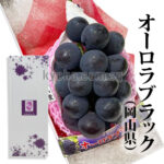 Orola Black Grapes | Premium Grade (Seedless) | Okayama Prefecture