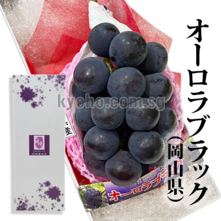 Orola Black Grapes | Premium Grade (Seedless) | Okayama Prefecture
