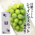 Best Shine Muscat | Direct from Nishoku Farm | Akashu Grade | Okayama Prefecture | 830g