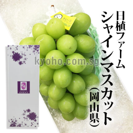 Best Shine Muscat | Direct from Nishoku Farm | Akashu Grade | Okayama Prefecture | 830g