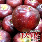 Akibae Apple | Nagano Prefecture