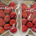 Amaou Strawberry | "G" Grade | Fukuoka Prefecture