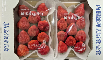 Amaou Strawberry | "G" Grade | Fukuoka Prefecture