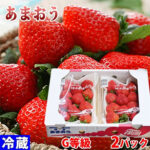 Amaou Strawberry | "G" Grade | Fukuoka Prefecture