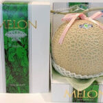 Arus Melon (High Sugar Level) | Kumamoto Prefecture