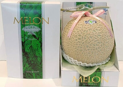 Arus Melon (High Sugar Level) | Kumamoto Prefecture