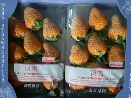 Awayuki Strawberry | Nara Prefecture | 2L Size