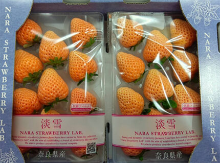 Awayuki Strawberry | Nara Prefecture | 2L Size