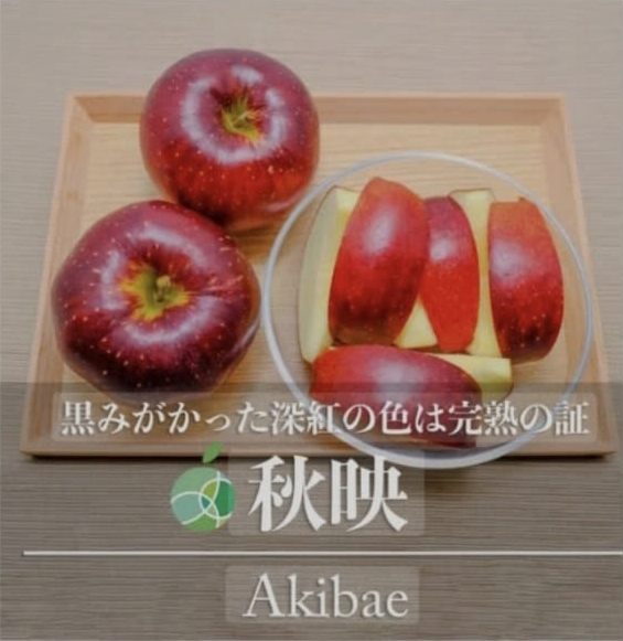 Farm Direct Sun Akibae Apple