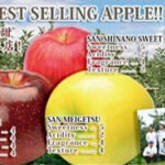 Nagano Apples