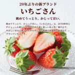 Ichigo San Strawberry | Saga Prefecture