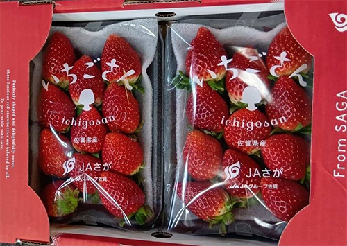 Ichigo San Strawberry | Saga Prefecture | Pack