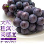Orola Black Grapes | Premium Grade (Seedless) | Okayama Prefecture