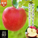 Shinano Sweet Apple | Nagano Prefecture | 4L Size