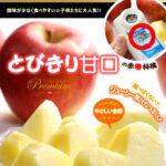 Shinano Sweet Apple | Nagano Prefecture | 4L Size