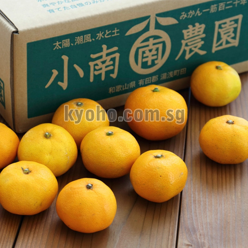 KOMINAMI FARM DIRECT SPECIAL SELECTED "TAMURA MIKAN" Wakayama Prefecture