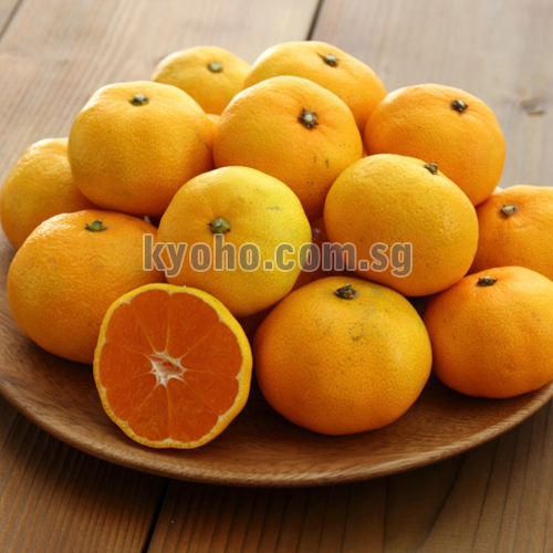 KOMINAMI FARM DIRECT SPECIAL SELECTED "TAMURA MIKAN" Wakayama Prefecture