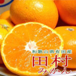 Kominami Farm Direct Special Selected Tamura Mikan | Wakayama Prefecture