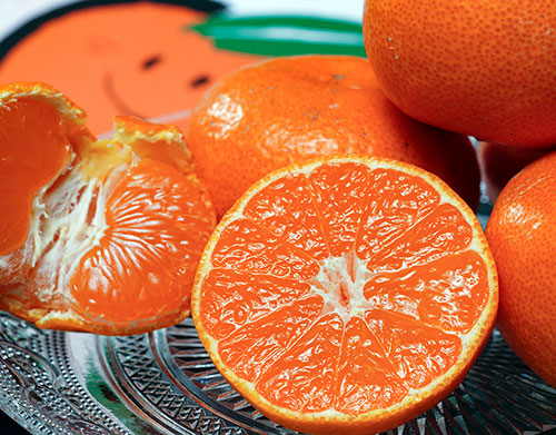 Kominami Farm Direct Special Selected Tamura Mikan | Wakayama Prefecture