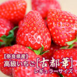 Kotoka Premium Strawberry | Nara Prefecture